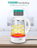 ikich Electric Kettle